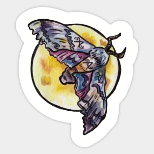 Moon Moth Sticker